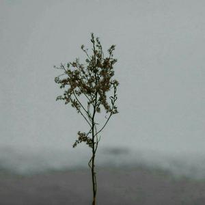 嫩奶头被老头吸得又红又肿视频
